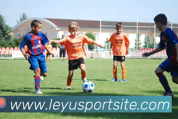 多媒体互动体验