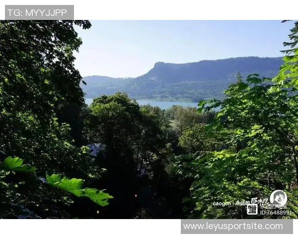 林葳波特兰游记分享看球之余打卡马尔特诺玛瀑布美景